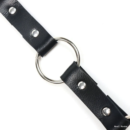 Anal Hooks Collar and with Hook Anal Leash 5853 EverydayUse Kinky 1001